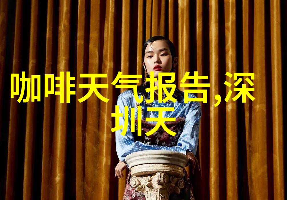 法国式滴漏